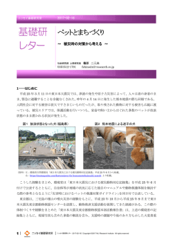 基礎研 レター - ニッセイ基礎研究所
