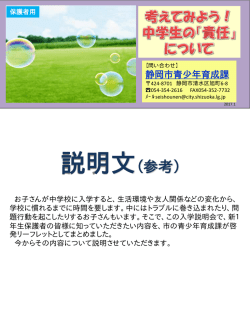 説明文（参考）