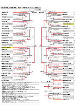 平成29年度 東京都社会人サッカーチャンピオンシップ（東京カップ）