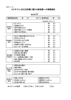 様式13
