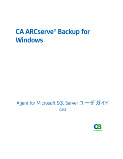 CA ARCserve Backup for Windows Agent for Microsoft SQL Server
