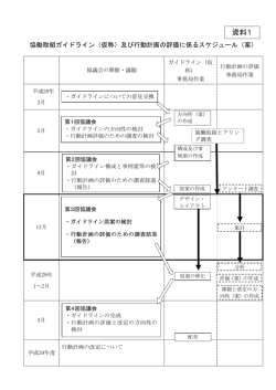 及び行動計画の評価に係るスケジュール（案） [PDFファイル／105KB]