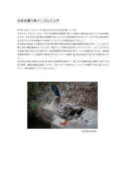 日本を襲う鳥インフルエンザ - 神奈川県ペストコントロール協会