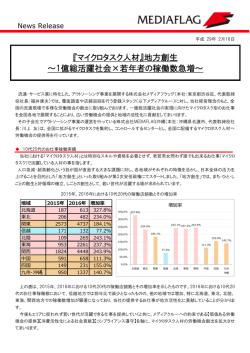 『マイクロタスク人材』地方創生 ～1億総活躍社会×若年