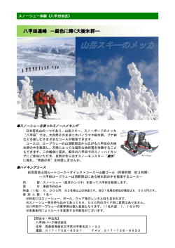 八甲田連峰 －銀色に輝く大樹氷群―