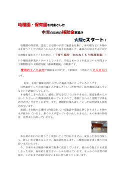 子育て施設 木のぬくもり推進事業