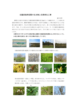 資料（1）pdfファイル