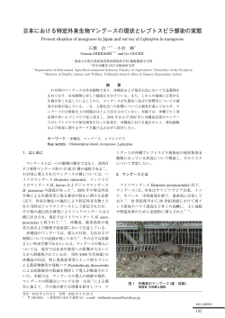 日本における特定外来生物マングースの現状とレプトスピラ感染の実態