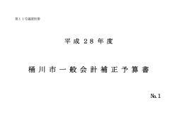 桶 川 市 一 般 会 計 補 正 予 算 書