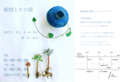植物とその器