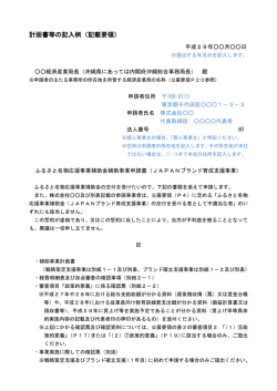 計画書等の記入例（記載要領）