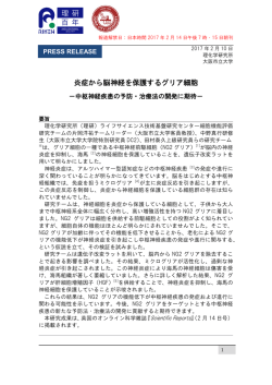 炎症から脳神経を保護するグリア細胞