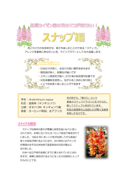 花のソコが知りたい！&rdquo; vol.43 スナップ編