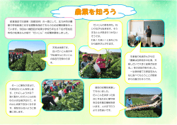 折尾東小学校5年生が若松産だいこんを収穫体験しました！