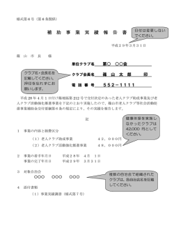 補 助 事 業 実 績 報 告 書