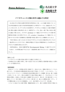 クワガタムシの大顎を形作る遺伝子を特定