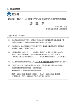 調 査 票
