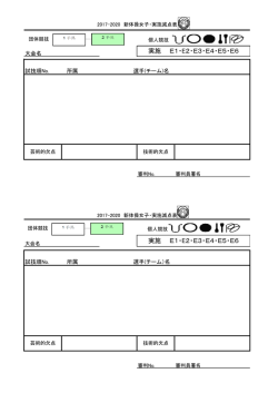実施 E1・E2・E3・E4・E5・E6 実施 E1・E2・E3・E4・E5・E6