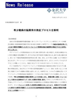 詳しくはこちら［PDF］