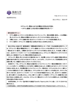 リチウムイオン電池における充電時の活性点を可視化