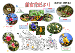 花の庭園 観賞温室 色とりどりの春花展 ソシンロウバイ ニホンズイセン