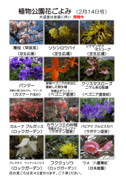 植物公園花ごよみ （2月14日号）