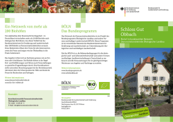 Infoflyer zum
