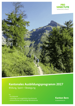 Kantonales Ausbildungsprogramm 2017