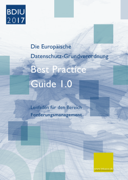 DS-GVO Best Practice Guide 1.0 (PDF 1.67 MB)