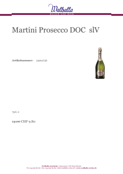 Martini Prosecco DOC slV