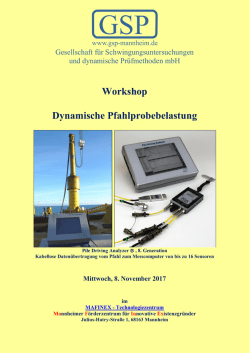 Dynamische Pfahlprobebelastung