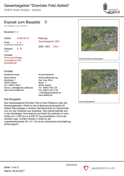 Gewerbegebiet "Dirsröder Feld Alsfeld" Exposé zum Bauplatz 6