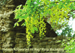 Heilende K&ouml;rperarbeit mit Mag.a Marija Mischkulnig