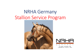 Das Neue NRHA Germany Stallion Service Program