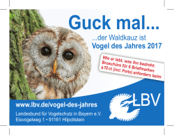 Guck mal