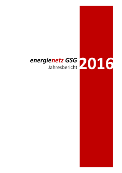 Jahresbericht 2016