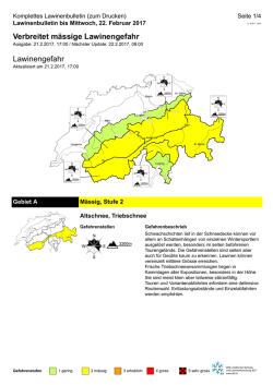 Produkt der Lawinenwarung