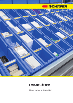 lmb-behälter - SSI Schäfer