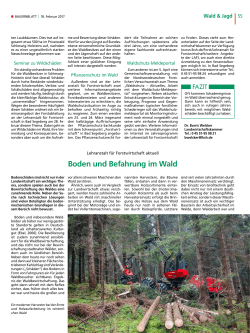Boden und Befahrung im Wald - Landwirtschaftskammer Schleswig