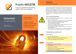 Projekt HOLISTIK - Dr. Thiele IT