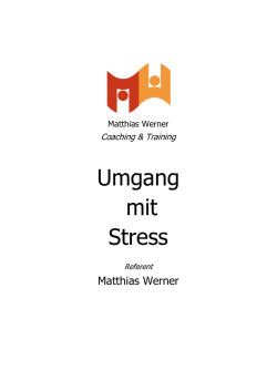 Broschüre-Stress - Matthias Werner