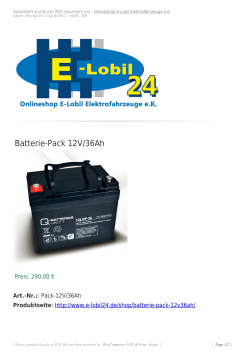 Batterie-Pack 12V/36Ah - E-Lobil Elektrofahrzeuge eK