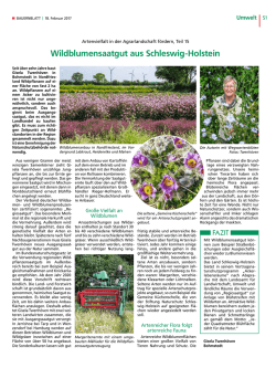 Wildblumensaatgut aus Schleswig