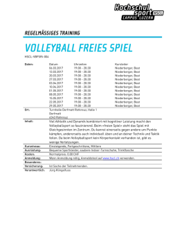 volleyball freies spiel