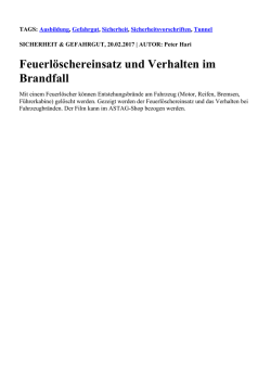 Feuerl&ouml;schereinsatz und Verhalten im Brandfall