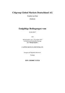 Endg&uuml;ltige Bedingungen vom