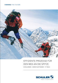 effiziente prozesse f&uuml;r den weg an die spitze - Schuler