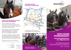 Pferdemarkt 2017 - Stadt Geislingen an der Steige