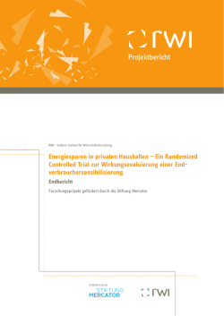 Projektbericht
