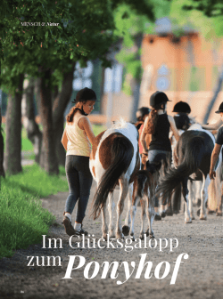 Im Gl&uuml;cksgalopp zum